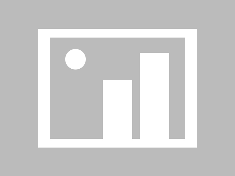 开云下载-特色战术：各队独门绝技一网打尽，特种部队战术队形