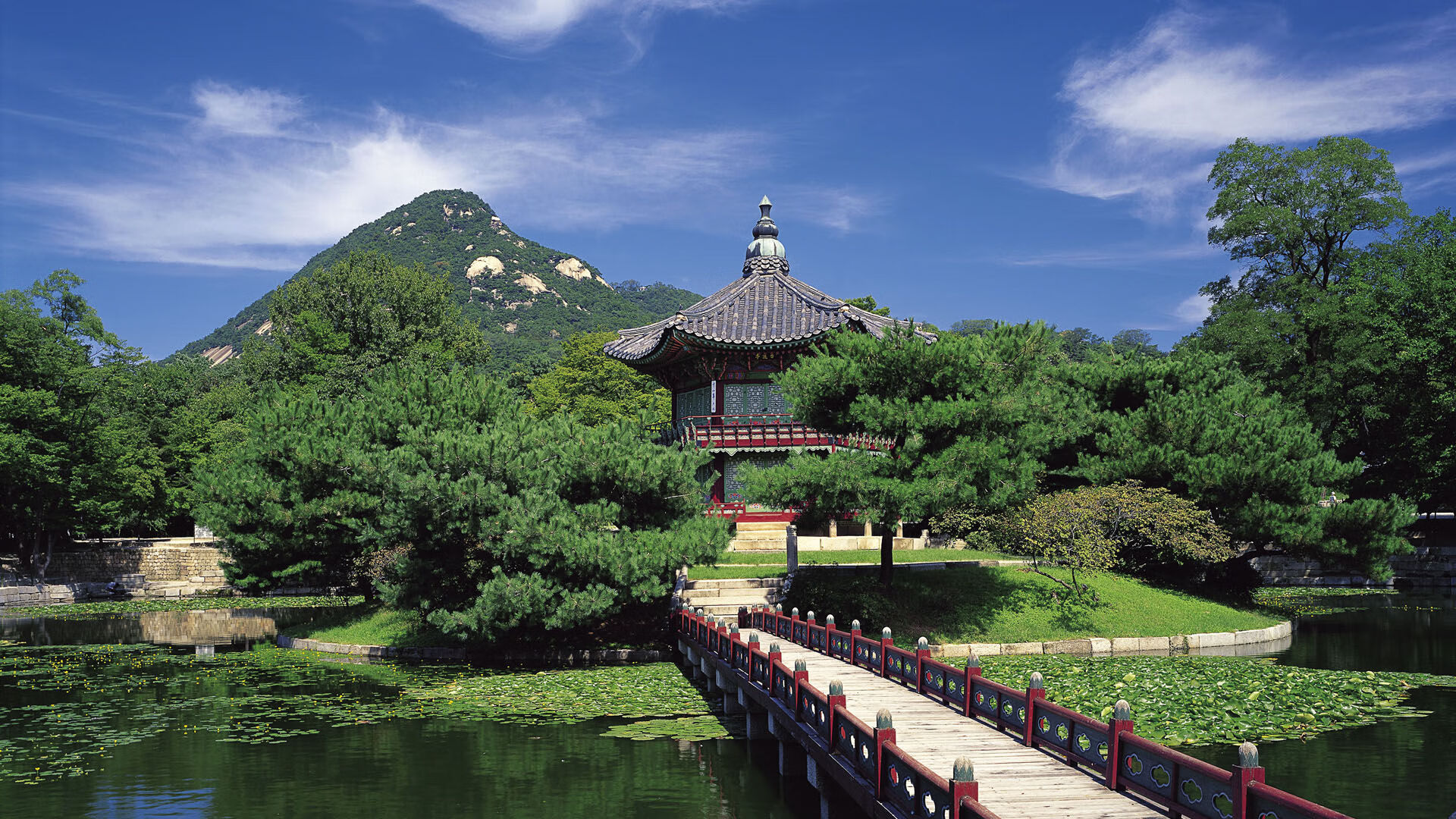 kaiyun app-乌迪内斯攻防兼备，战胜劲旅升至前茅，乌迪内斯最新阵容