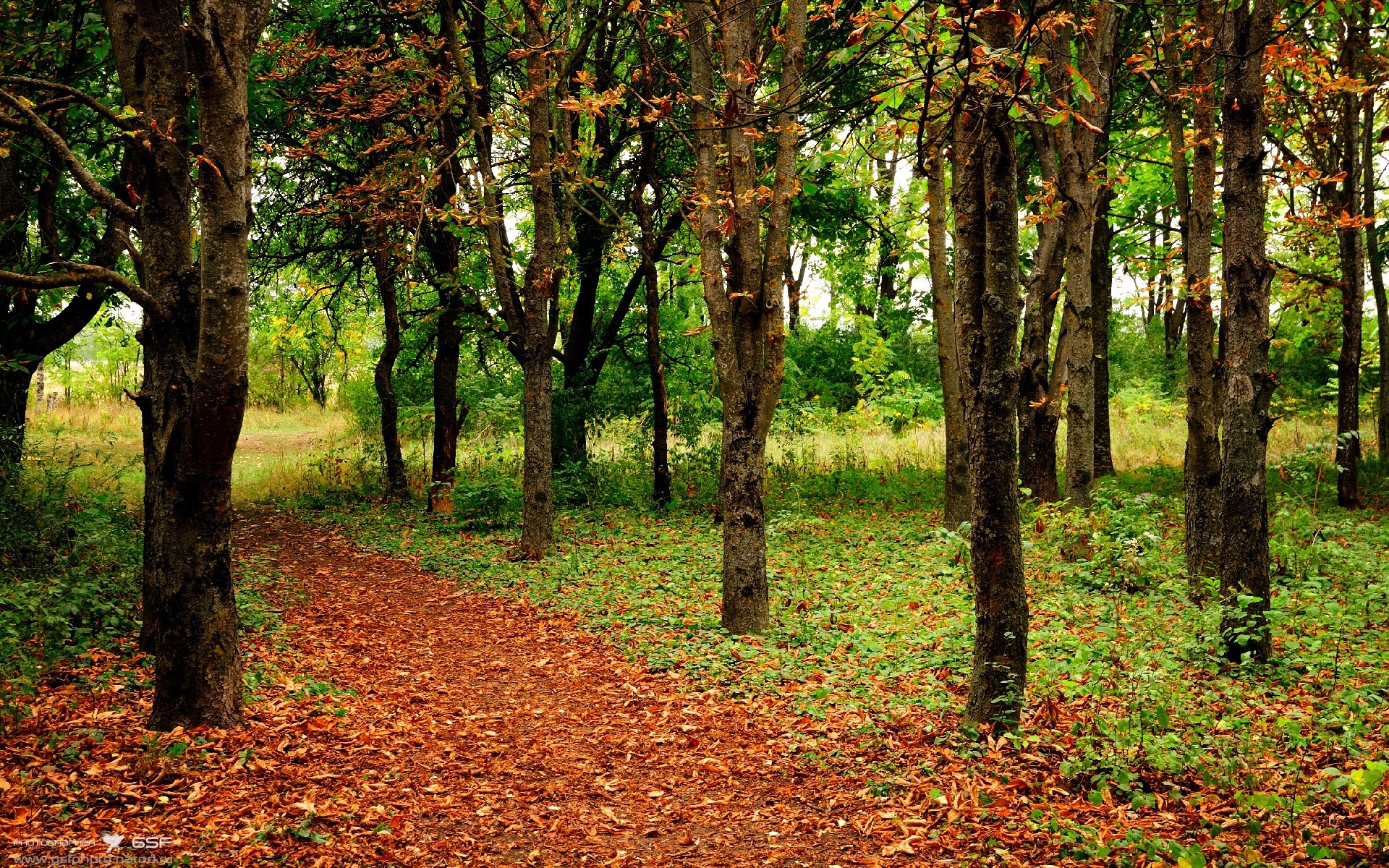 开云体育首页-欧洲杯激戰連連:战术变化带来无限精彩,欧洲杯战场