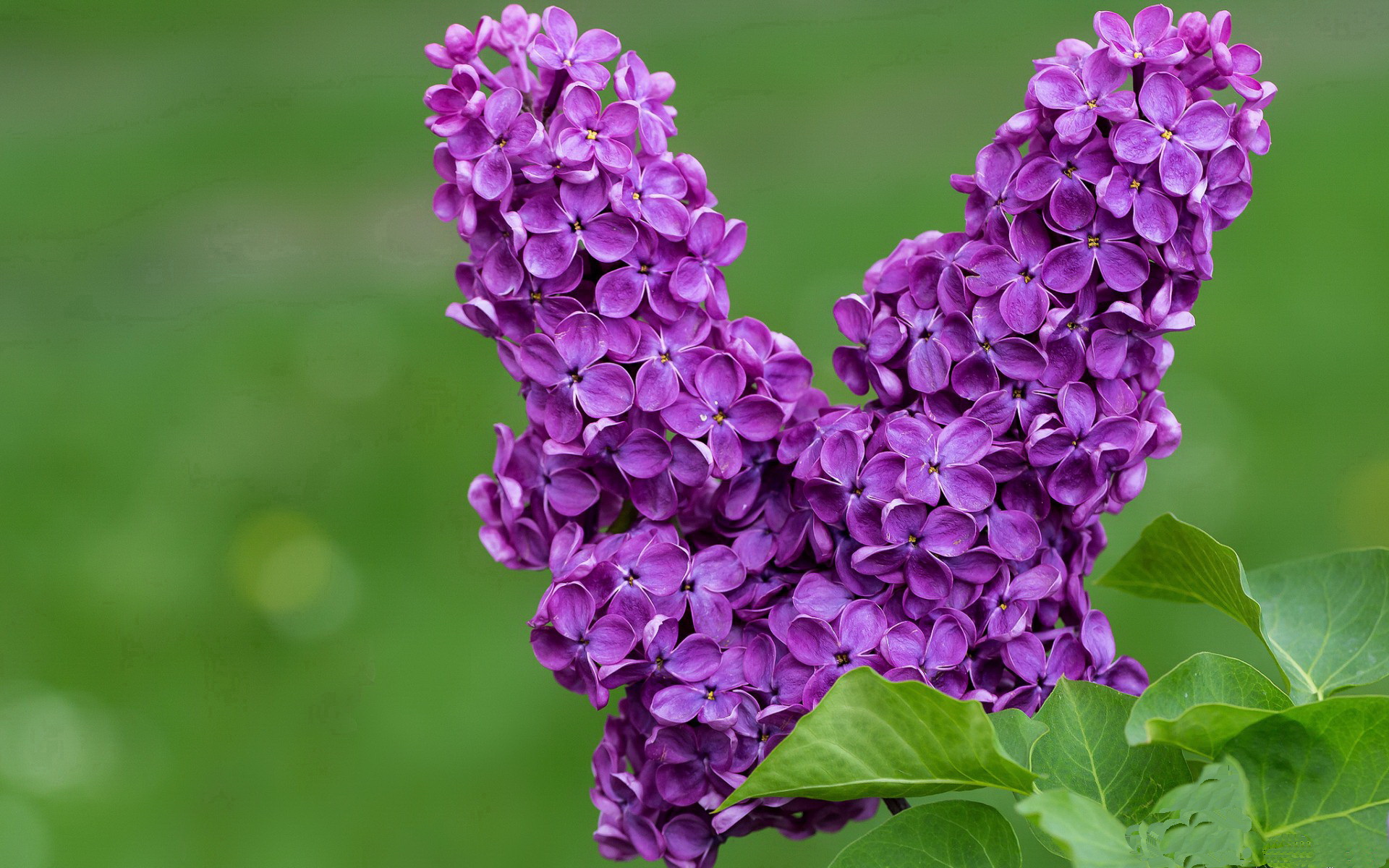 开云官方-马尔尚后程爆发力震撼全场，马尔er