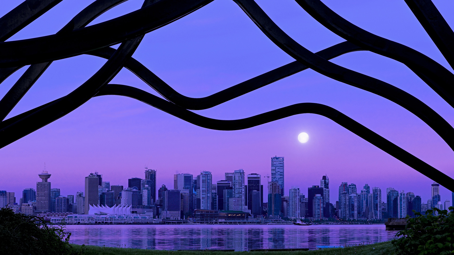 开云体育下载官网-高台选手入水角度优化，稳定性增加，高台入水视频 下载