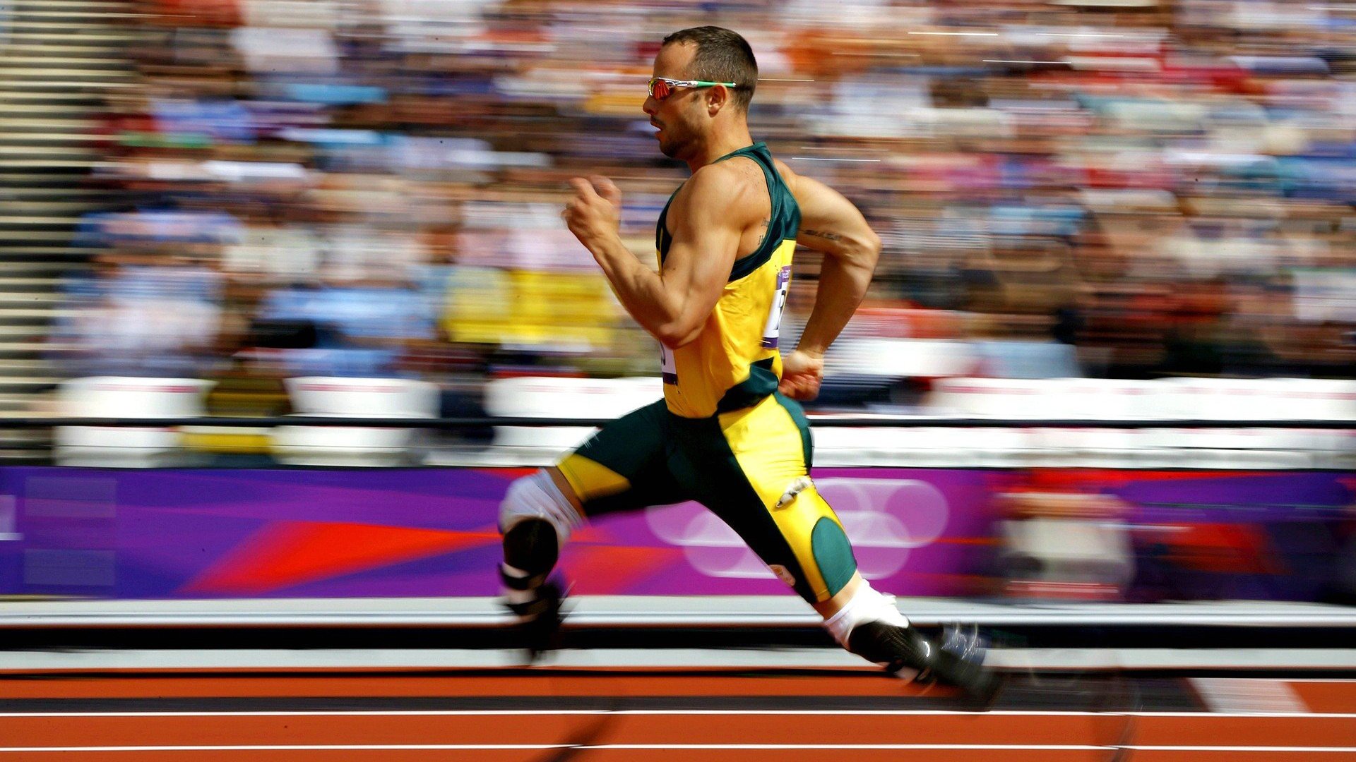 “未来之星”归来:新秀车手的辉煌起步,未来之星是谁