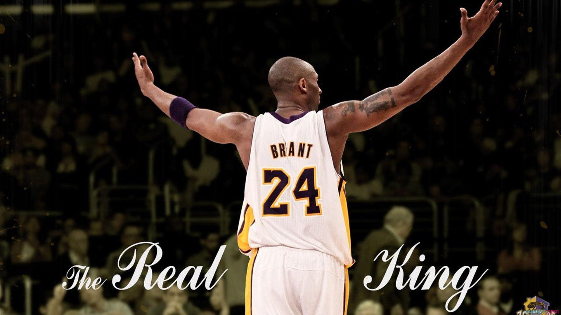 未来技术:智能穿戴设备为球员提供全方位训练数据,智能穿戴领域